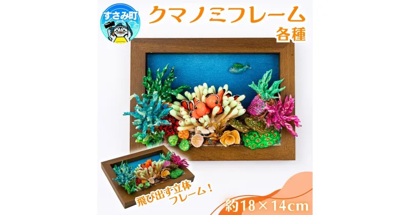 【ふるさと納税】クマノミ各種　フレーム / 魚 さかな フィッシュ 釣り 海 うみ クマノミ 海水魚 海の生き物 鍵 かぎ 家 車 自転車 かわいい お土産 雑貨 思い出 プレゼント ギフト すさみ