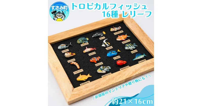 【ふるさと納税】トロピカルフィッシュ16種　レリーフ / 魚 さかな フィッシュ 釣り 海 うみ クマノミ 海水魚 海の生き物 鍵 かぎ 家 車 自転車 かわいい お土産 雑貨 思い出 プレゼント ギフト すさみ