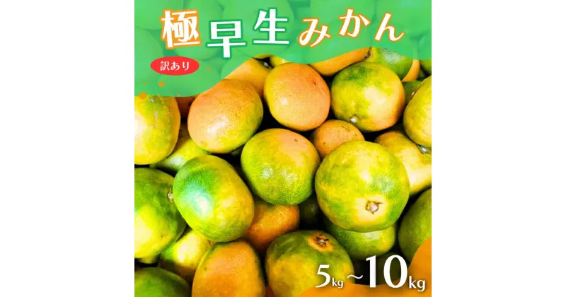 【ふるさと納税】《 額田農園限定レビューキャンペーン対象 》【2024年秋頃発送予約分】【訳あり】こだわりの極早生みかん 選べる容量 ※2024年10月上旬より順次発送予定（お届け日指定不可） 有田産 和歌山 有田みかん みかん フルーツ くだもの 和歌山