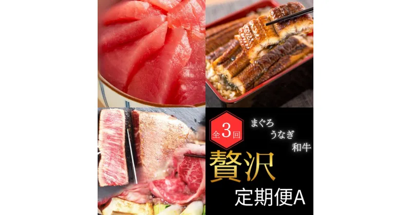 【ふるさと納税】 【全3回】 まぐろ ・ うなぎ ・ 和牛 を楽しむ贅沢定期便A / 鮪 マグロ 刺身 鰻 ウナギ 蒲焼 熊野牛 肉 牛肉 黒毛和牛 ヒレ ロース シャトーブリアン ステーキ スライス マグロ丼 かば焼き