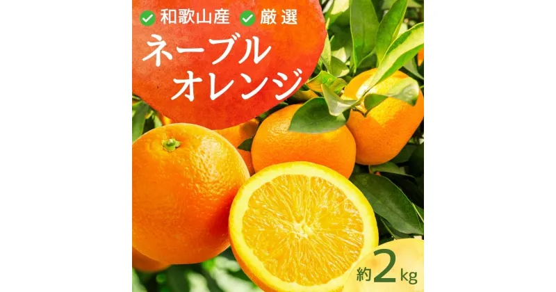 【ふるさと納税】 ＜2月より発送＞ 厳選 ネーブルオレンジ 2kg+60g（傷み補償分）【光センサー選別】 ※北海道・沖縄・離島への配送不可 / みかん オレンジ 有田みかん 柑橘 おすすめ フルーツ くだもの 果物 わかやま 和歌山 ミカン ネーブル