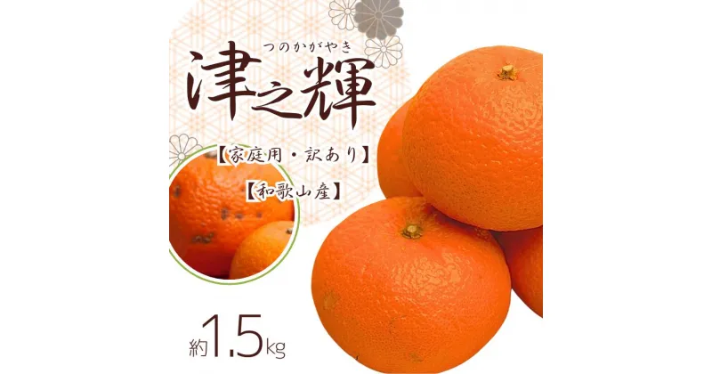 【ふるさと納税】 ＜2月より発送＞ 家庭用 津之輝 1.5kg+45g（傷み補償分） つのかがやき 【光センサー選別】 ※北海道・沖縄・離島への配送不可 / みかん オレンジ 有田みかん 柑橘 おすすめ フルーツ くだもの 果物 わかやま 和歌山 ミカン