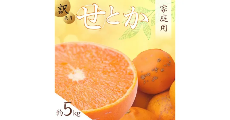 【ふるさと納税】＜2月より発送＞ 家庭用 せとか 5kg+150g（傷み補償分） 【柑橘・春みかんの王様】 【わけあり・訳あり】 【光センサー選果・食べ頃出荷】 / みかん 果物 くだもの フルーツ 和歌山 わかやま おすすめ 人気 有田みかん 柑橘 ミカン セトカ