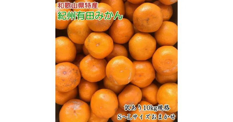 【ふるさと納税】[訳あり]和歌山有田みかん約10kg(S～Lサイズいずれかお届け）★2024年11月中旬頃より順次発送【TM82】 | 数量限定 期間限定 みかん 蜜柑 柑橘 果物 フルーツ おすすめ 人気