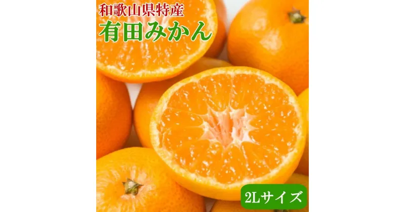 【ふるさと納税】[秀品]和歌山有田みかん約9kg(2Lサイズ) ★2024年11月中旬頃より順次発送【TM85】 | 数量限定 期間限定 みかん 蜜柑 柑橘 果物 フルーツ おすすめ 人気