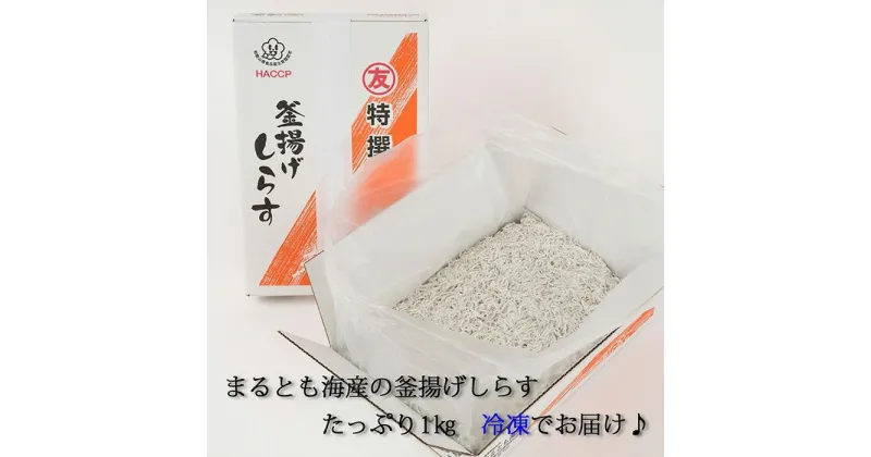 【ふるさと納税】紀州湯浅湾直送！茹でたて釜揚げしらす 箱入　1kg　【冷凍】 | 和歌山県 和歌山 那智勝浦町 返礼品 しらす シラス 釜揚げしらす 名産品 特産品 お土産 ご飯のお供 ごはんのお供 ごはんのおとも ご飯のおとも 酒のつまみ おつまみ 酒の肴 取り寄せ グルメ