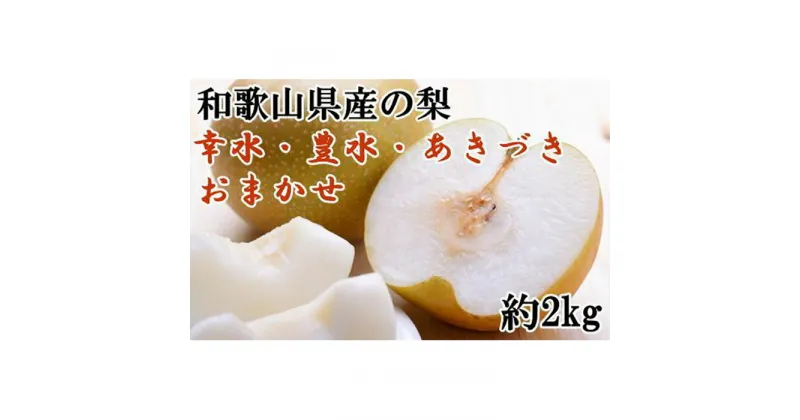 【ふるさと納税】和歌山県産の梨約2kg(品種おまかせ)★2025年8月下旬頃より順次発送【TM181】 | 返礼品 果物 くだもの フルーツ 果実 旬の果物 旬のフルーツ 旬の味覚 食べ物 たべもの お取り寄せ 名産品 特産品 お土産 なし ナシ 子供 おやつ プレゼント 贈り物 ギフト