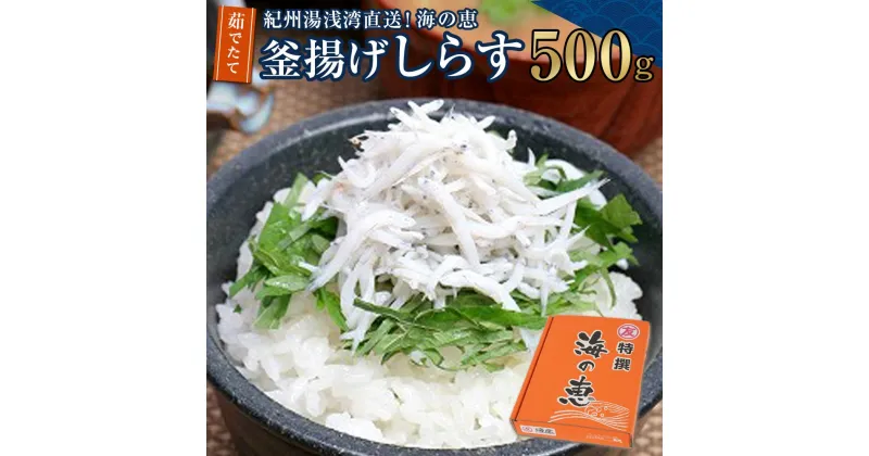 【ふるさと納税】紀州湯浅湾直送！海の恵　茹でたて釜揚げしらす　500g　【冷蔵】 | 和歌山県 和歌山 那智勝浦町 返礼品 しらす シラス 釜揚げしらす 名産品 特産品 お土産 ご飯のお供 ごはんのお供 ごはんのおとも ご飯のおとも 酒のつまみ おつまみ 酒の肴 取り寄せ グルメ