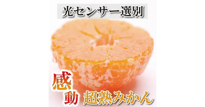 【ふるさと納税】家庭用 超熟有田みかん 5kg+150g（傷み補償分）訳あり＜2024年11月より発送＞