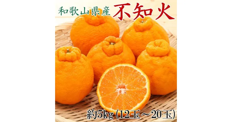 【ふるさと納税】和歌山県産不知火約5kg（12玉～20玉おまかせ）2L～5Lサイズ★2025年2月下旬頃より順次発送【TM131】 | デコポン 不知火 フルーツ 果物 くだもの 食品 人気 おすすめ 送料無料