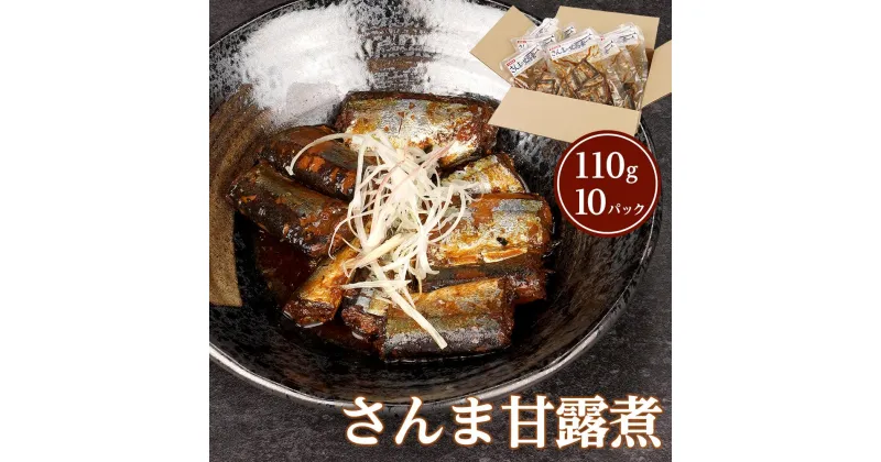 【ふるさと納税】さんま甘露煮 110g × 10パック 合計1.1kgセット | いわし 食品 加工食品 人気 おすすめ 送料無料