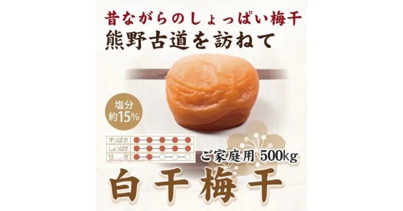 【ふるさと納税】紀州南高梅 白干梅干し 500g ご家庭用 【US34】 | 梅干 食品 加工食品 人気 おすすめ 送料無料