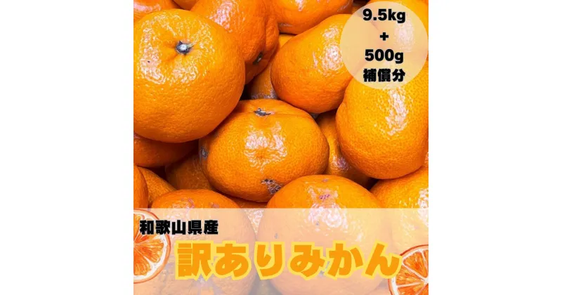 【ふるさと納税】【訳あり】和歌山みかん 約9.5kg+補償分約500g サイズ混合 11月より順次発送 訳ありみかん 【red1】 | みかん 蜜柑 フルーツ 果物 くだもの 食品 人気 おすすめ 送料無料 産地直送