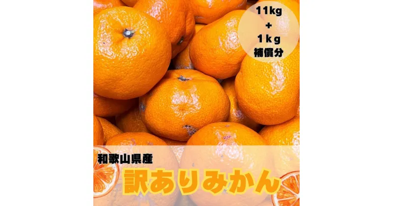 【ふるさと納税】【訳あり】和歌山みかん約11kg+補償分約1kg サイズ混合 11月より順次発送 訳ありみかん 【red2】 | みかん 蜜柑 フルーツ 果物 くだもの 食品 人気 おすすめ 送料無料 産地直送