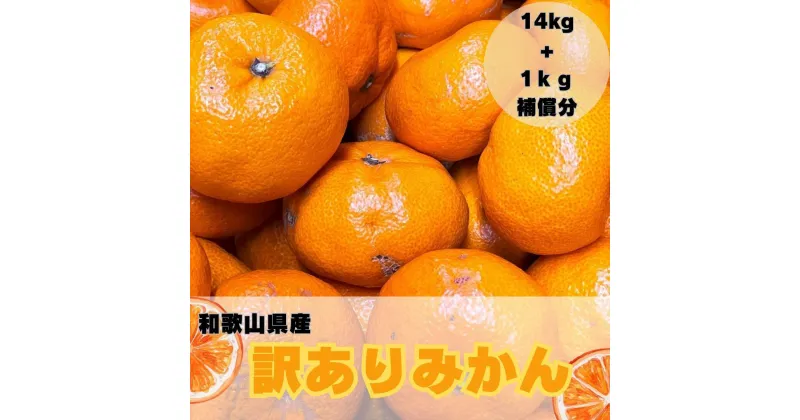 【ふるさと納税】【訳あり】和歌山みかん約14kg+補償分約1kg サイズ混合 11月より順次発送 訳ありみかん 【red3】 | みかん 蜜柑 フルーツ 果物 くだもの 食品 人気 おすすめ 送料無料 産地直送