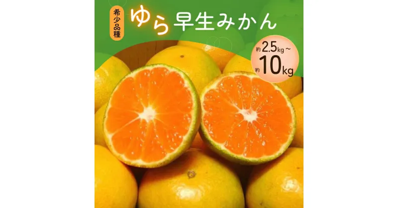 【ふるさと納税】 《 額田農園限定レビューキャンペーン対象 》【2024年秋頃発送予約分】 ＼光センサー選別／＼農家直送/甘くて濃厚！希少品種 ご家庭用 ゆら早生みかん 約2.5kg〜10kg+300g サイズ混合 有機質肥料100% ※2024年10月上旬より順次発送予定（お届け日指定不可）