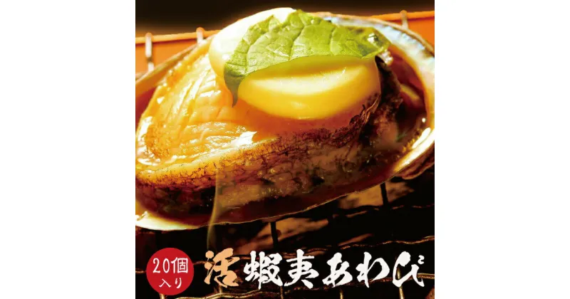 【ふるさと納税】 極上！紀州蝦夷鮑×19〜20個 五つ星旅館にも出荷される極上アワビ＜配達日指定OK＞ / アワビ あわび 鮑 活 活き 高級 バーベキュー BBQ 海鮮 冷凍