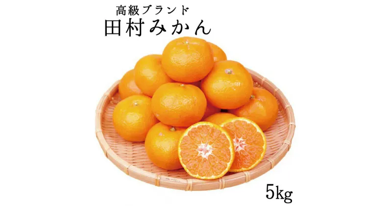 【ふるさと納税】 高級ブランド田村みかん 5kg【予約】※2024年11月下旬頃〜2025年1月下旬頃に順次発送予定(お届け日指定不可)