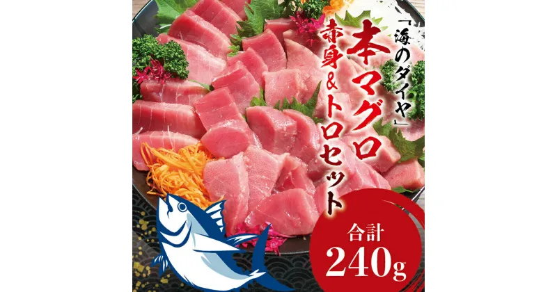 【ふるさと納税】 ＼お刺身やマグロ丼、お寿司で！／本マグロ （養殖）トロ＆赤身セット お手頃サイズ 240g【発送時期が選べる】 / 本マグロ まぐろ マグロ 鮪 中トロ 中とろ トロ とろ 赤身 柵 刺身 人気 予約 海鮮 海の幸 魚 魚介 ふるさと