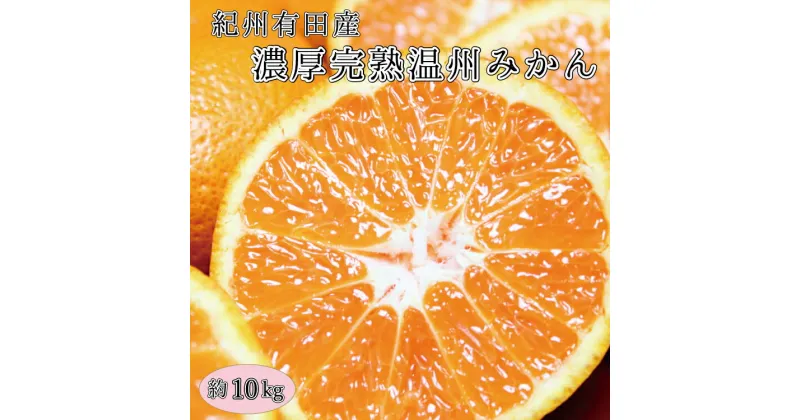 【ふるさと納税】 完熟有田みかん 10kg ※2024年11月下旬頃〜2025年1月下旬頃に発送予定(お届け日指定不可)