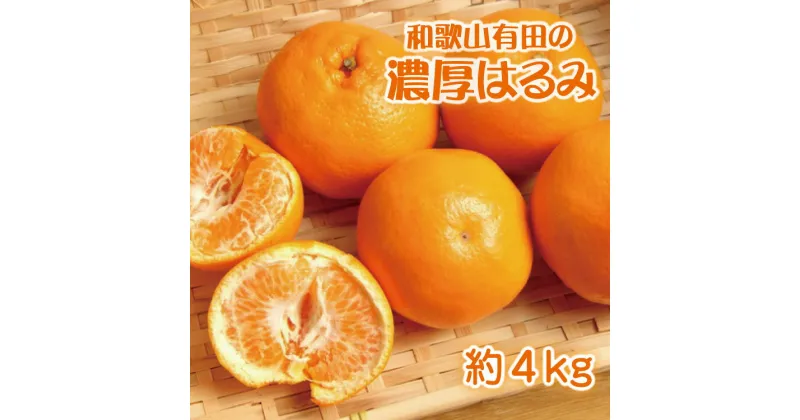 【ふるさと納税】 和歌山有田の濃厚 はるみ 約4kg (2L又は3Lサイズ) ※2025年1月下旬〜2月中旬順次発送予定