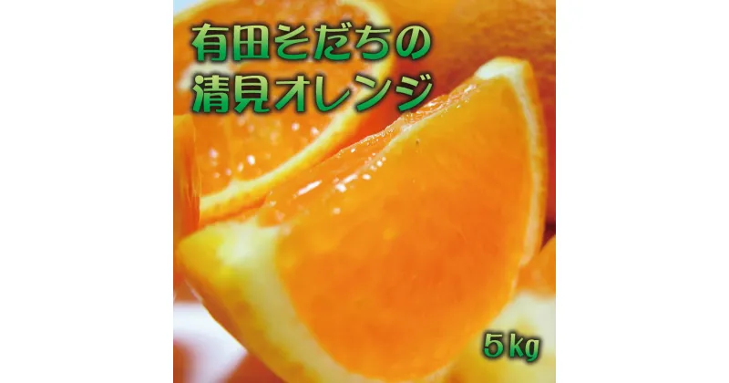 【ふるさと納税】 【2025年2月下旬〜3月下旬順次発送予定】有田育ちの完熟清見オレンジ(ご家庭用) 約5kg