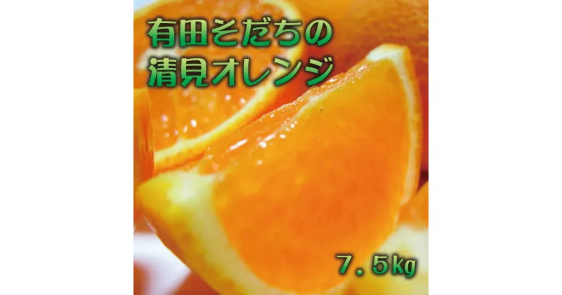 【ふるさと納税】 【2025年2月下旬〜3月下旬順次発送予定】有田育ちの完熟清見オレンジ(ご家庭用) 約7.5kg