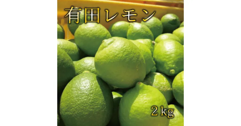 【ふるさと納税】 【国産】紀州和歌山 有田レモン 約2kg ※2024年10月上旬〜2025年1月下旬順次発送