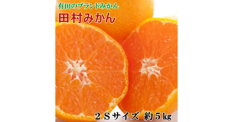 【ふるさと納税】 【ブランドみかん】田村みかん約5kg（2Sサイズ・秀品）※2024年11月下旬〜12月下旬頃順次発送予定（お届け日指定不可）