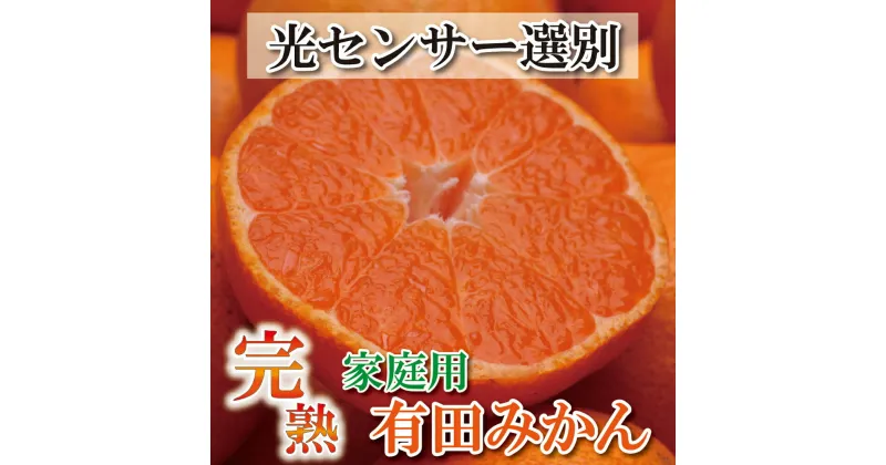 【ふるさと納税】 家庭用 完熟 有田みかん 2.5kg+75g(傷み補償分) / 4kg+120g(傷み補償分) / 5kg+150g(傷み補償分) / 7kg+210g(傷み補償分) / 10kg+300g(傷み補償分) 【わけあり・訳あり】【光センサー選果】＜2024年11月中頃〜2025年1月下旬ごろ順次発送＞