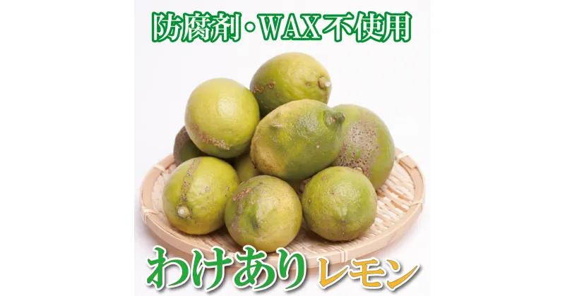 【ふるさと納税】 ＜先行予約＞家庭用 黒潮レモン 2kg+60g(傷み補償分) / 3kg+90g(傷み補償分) / 5kg+150g(傷み補償分) 【和歌山有田産】【防腐剤・WAX不使用、安心の国産レモン】【わけあり・訳ありレモン】 ＜2024年9月上旬〜2025年4月下旬ごろに順次発送＞