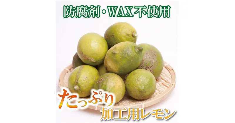 【ふるさと納税】 ＜先行予約＞加工用 黒潮レモン 2.5kg / 5kg / 6.5kg / 10kg 【和歌山有田産】【防腐剤・WAX不使用、安心の国産レモン】【わけあり・訳ありレモン】【果汁用】＜2024年9月〜4月下旬頃順次発送＞