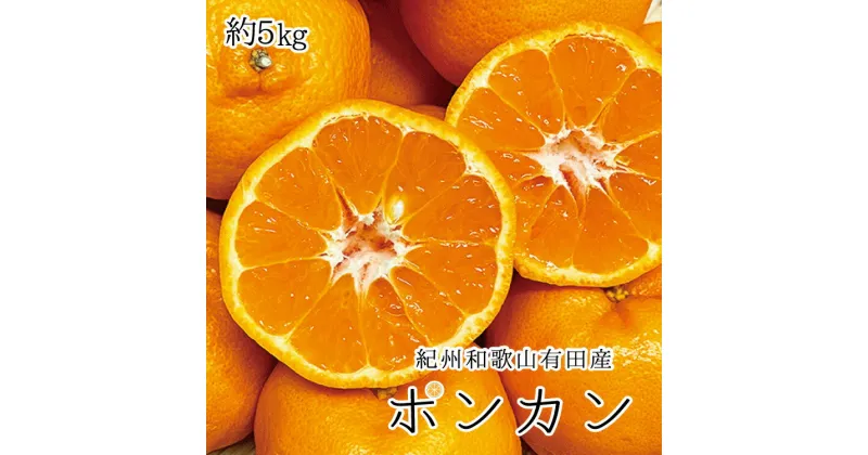 【ふるさと納税】 紀州和歌山有田産ポンカン 5kg ※2025年2月上旬頃〜下旬頃に順次発送（お届け日指定不可）