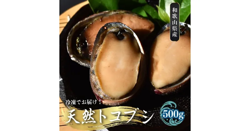 【ふるさと納税】 ＼数量限定／【和歌山県産】 天然トコブシ 500g (瞬間冷凍) ／ながれこ とこぶし 冷凍 貝 おかず お手軽調理 バーベキュー 国産 瞬間冷凍