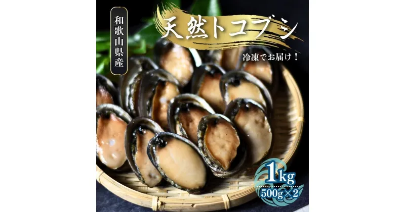 【ふるさと納税】 ＼数量限定／【和歌山県産】 天然トコブシ 1kg (瞬間冷凍) ／ながれこ とこぶし 冷凍 貝 おかず お手軽調理 バーベキュー 国産 瞬間冷凍