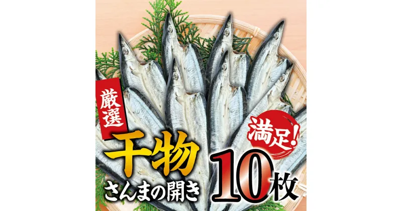 【ふるさと納税】 干物セット 満足の内容量！さんまの開き10枚セット ／ひもの 詰め合わせ 干物 さんま サンマ 秋刀魚