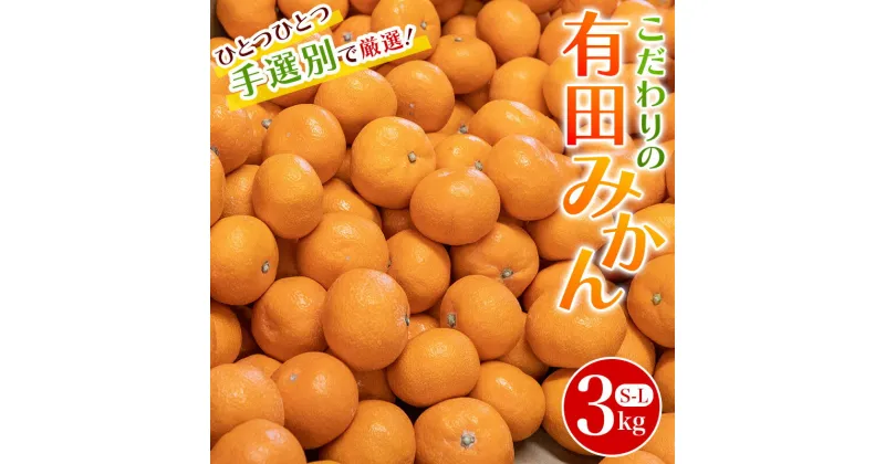 【ふるさと納税】 こだわりの和歌山県産 有田みかん 3kg（S〜Lサイズおまかせ） ひとつひとつ手選別で厳選！生産者から直送 【2024年11月下旬〜1月中旬ごろに順次発送予定】/ みかん フルーツ 果物 くだもの 有田みかん 蜜柑 柑橘