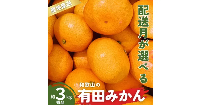 【ふるさと納税】 ＼配送月が選べる！／ 秀品 有田みかん 和歌山県産 S〜Lサイズ 大きさお任せ 3kg / みかん フルーツ 果物 くだもの 有田みかん 蜜柑 柑橘