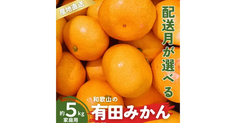 【ふるさと納税】 ＼配送月が選べる！／ 家庭用 有田みかん 和歌山 S〜Lサイズ大きさお任せ 5kg / みかん フルーツ 果物 くだもの 有田みかん 蜜柑 柑橘