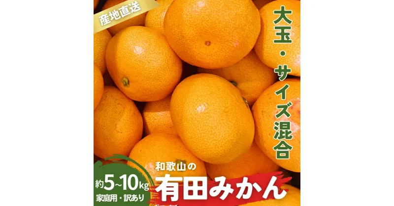 【ふるさと納税】 家庭用 訳あり 有田みかん 大玉(2L,3Lサイズ混合) 5kg・10kg【10月上旬〜1月下旬頃に順次発送予定】/ みかん フルーツ 果物 くだもの 有田みかん 蜜柑 柑橘