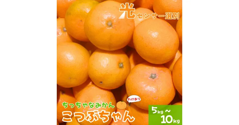 【ふるさと納税】 《 額田農園限定レビューキャンペーン対象 》＼光センサー選別/ 訳あり 3S ちっちゃな有田みかん こつぶみかん 約5kg〜10kg 有機質肥料100% ※2024年11月中旬頃〜2025年1月中旬頃に順次発送予定(お届け日指定不可) 先行予約 みかん 温州みかん ミカン 小粒