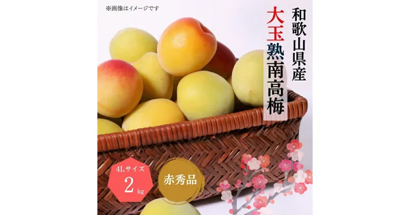 【ふるさと納税】 【梅干・梅酒用】大玉4Lサイズ2Kg熟南高梅 赤秀品＜2025年6月上旬〜7月上旬ごろに順次発送予定＞ (お届け指定日不可)