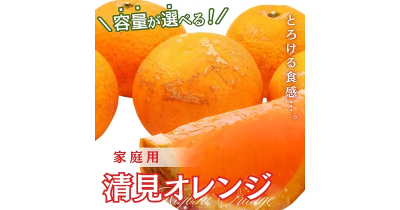 【ふるさと納税】 ＼容量が選べる！／ 家庭用 清見オレンジ 【光センサー食頃出荷】【樹上完熟きよみオレンジ・清見タンゴール・清美】【わけあり・訳あり】＜2025年2月上旬〜2025年3月下旬ごろに順次発送＞ ※北海道・沖縄・離島への配送不可