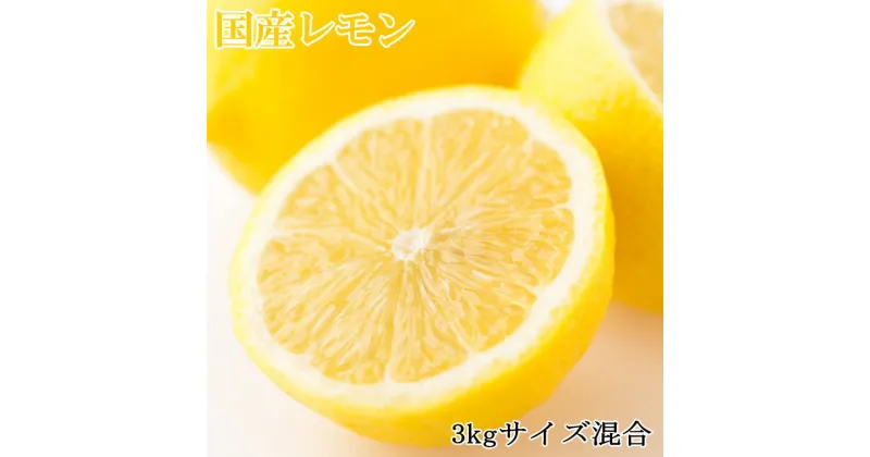 【ふるさと納税】 【産直】和歌山産レモン約3kg（サイズ混合）※2025年3月中旬〜2025年5月下旬頃に順次発送予定（お届け日指定不可）