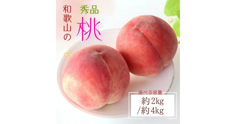 【ふるさと納税】 【産直・人気の特産品】和歌山の桃 約2kg / 約4kg ・秀品 ※2025年6月下旬〜8月上旬頃順次発送 / もも モモ フルーツ 果物 くだもの 人気 甘い 和歌山