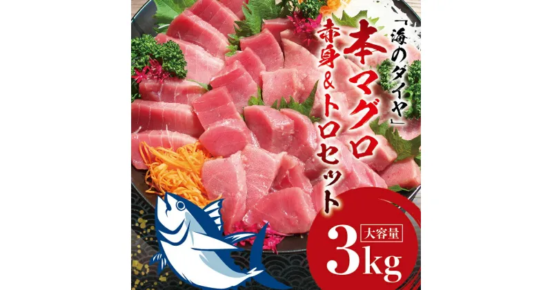 【ふるさと納税】 【発送時期が選べる】 本マグロ （養殖）トロ＆赤身セット 3kg / 本マグロ まぐろ マグロ 鮪 中トロ 中とろ トロ とろ 赤身 柵 刺身 人気 予約 海鮮 海の幸 魚 魚介 ふるさと