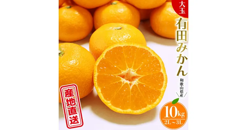 【ふるさと納税】 ＼ みかんの名産地 和歌山県産／ 農家直送 大玉 有田みかん 10kg （2L〜3L） ひとつひとつ手選別で厳選【2024年11月下旬〜1月中旬ごろに順次発送予定】 先行予約 みかん 有田みかん お正月 正月