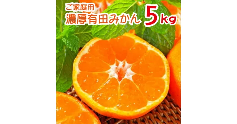 【ふるさと納税】 農園直送！完熟有田みかん 約5kg ※2024年11月〜12月に順次発送予定（お届け日指定不可）