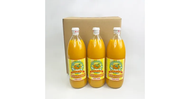 【ふるさと納税】 【和歌山県有田産】100%温州みかんジュース (970ml×6本セット)/ジュース みかん