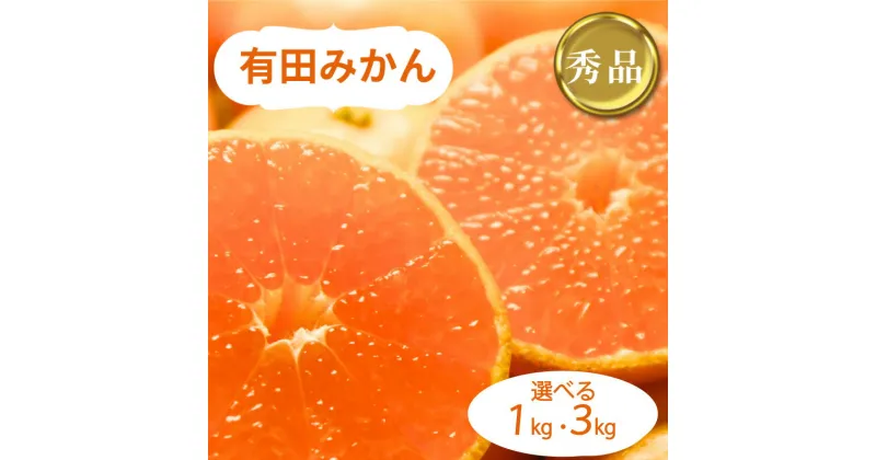 【ふるさと納税】 和歌山県産 有田みかん 秀品 【選べる容量】 1kg or 3kg ※2024年10月下旬〜2025年1月中旬頃に順次発送予定（お届け日指定不可) ミカン 和歌山 有田